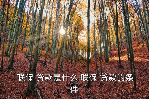  聯(lián)保 貸款是什么 聯(lián)保 貸款的條件