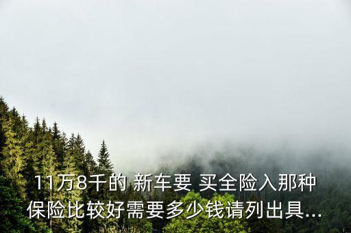 11萬8千的 新車要 買全險入那種保險比較好需要多少錢請列出具...
