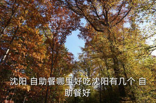 龍騰四海自助餐小孩多少錢