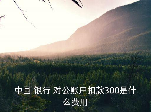 中國(guó) 銀行 對(duì)公賬戶(hù)扣款300是什么費(fèi)用