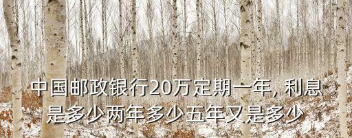 存款20萬二年利息多少,大額存款二年利息是多少