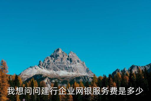 建設(shè)銀行開網(wǎng)銀手續(xù)費(fèi)是多少