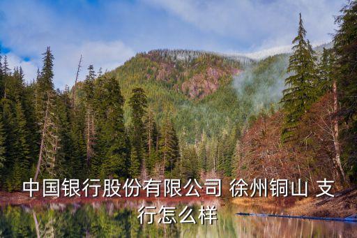 中國(guó)銀行股份有限公司 徐州銅山 支行怎么樣
