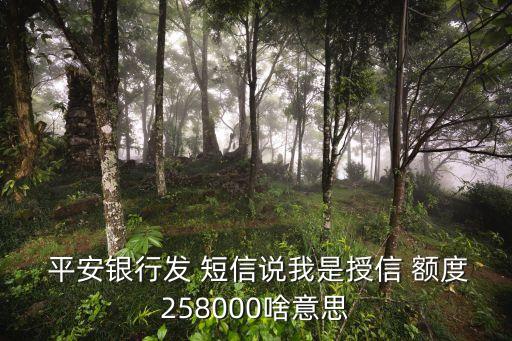 平安短信提醒多少額度,平安銀行卡怎么開通短信提醒