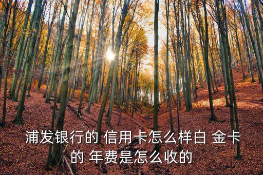  浦發(fā)銀行的 信用卡怎么樣白 金卡的 年費(fèi)是怎么收的