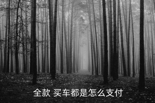 全款買(mǎi)車(chē)需要哪些費(fèi)用是多少