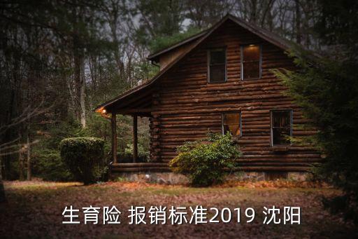  生育險 報銷標(biāo)準2019 沈陽