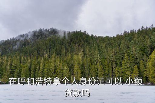 呼市大概有多少家小額貸款公司