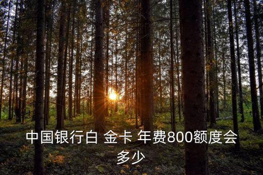 中行移動(dòng)白金卡年費(fèi)多少錢,中行白金卡年費(fèi)800怎樣使用才能免