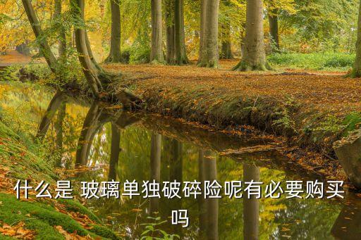 什么是 玻璃單獨破碎險呢有必要購買嗎