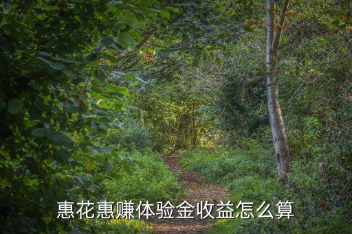 惠花惠賺體驗(yàn)金收益怎么算