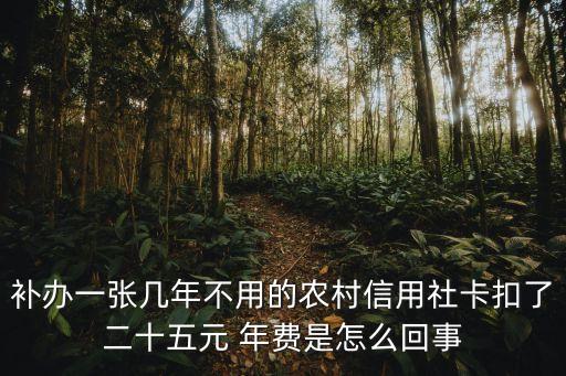 補辦一張幾年不用的農(nóng)村信用社卡扣了二十五元 年費是怎么回事