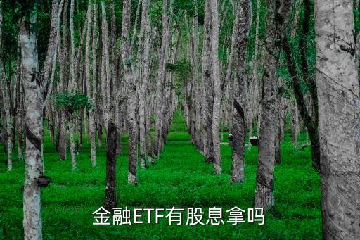 金融ETF有股息拿嗎