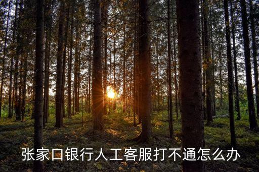  張家口銀行人工客服打不通怎么辦