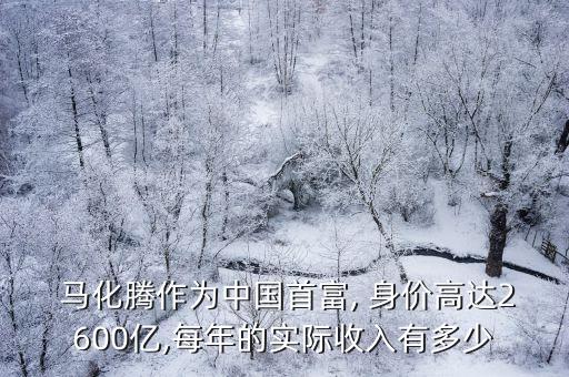 馬化騰身價(jià)多少,中國首富誰是第一名