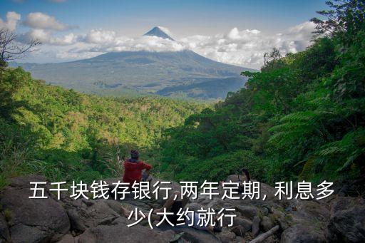 五千塊錢存銀行,兩年定期, 利息多少(大約就行