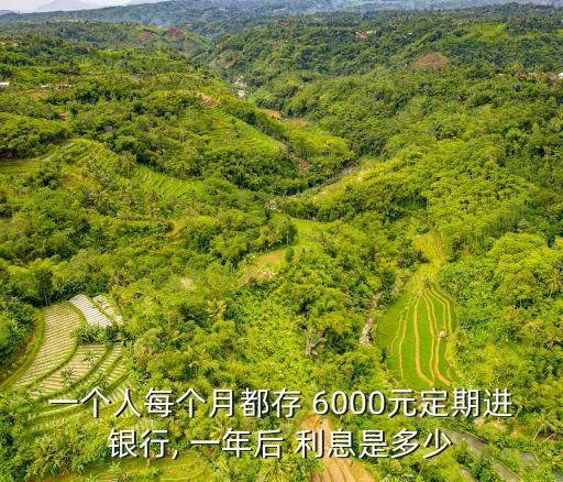 一個人每個月都存 6000元定期進(jìn)銀行, 一年后 利息是多少