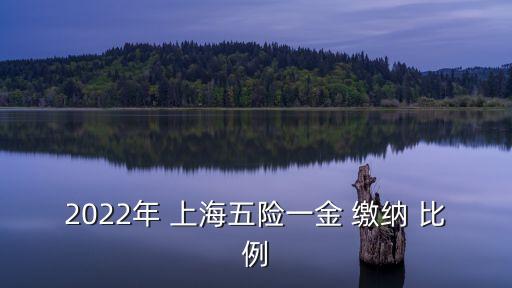 養(yǎng)老金上海繳納比例是多少,企業(yè)職工養(yǎng)老金繳納比例