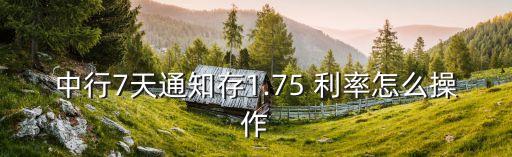 中行7天通知存1.75 利率怎么操作