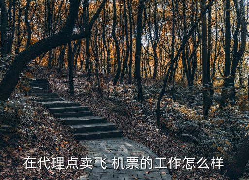倒賣機(jī)票一月賺多少錢