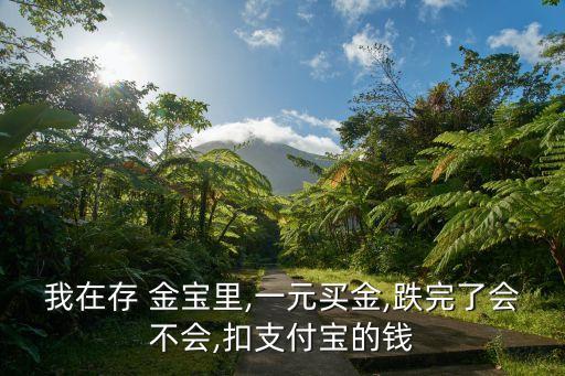 存金寶一天跌幅多少