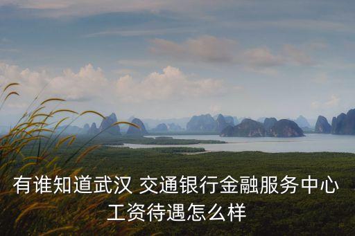有誰(shuí)知道武漢 交通銀行金融服務(wù)中心工資待遇怎么樣