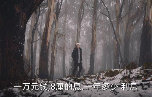 一萬(wàn)元錢,8厘的息,一年多少 利息