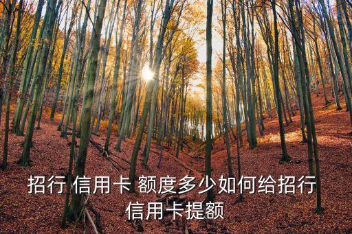 招行 信用卡 額度多少如何給招行 信用卡提額
