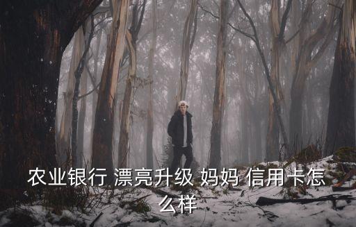 農(nóng)業(yè)銀行 漂亮升級(jí) 媽媽 信用卡怎么樣