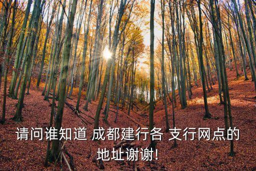 成都建設(shè)銀行支行電話號碼是多少,建設(shè)銀行成都高新支行電話號碼