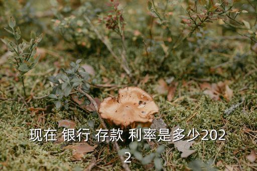 國有銀行定期存款利率是多少,2022年國有銀行定期存款利率