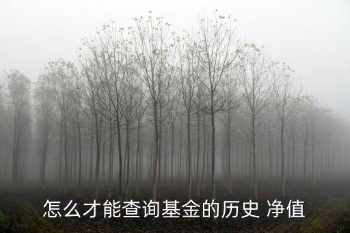 怎么才能查詢基金的歷史 凈值