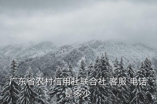 廣東省農(nóng)村信用社聯(lián)合社 客服 電話是多少