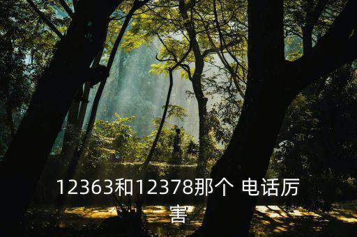 12363和12378那個 電話厲害