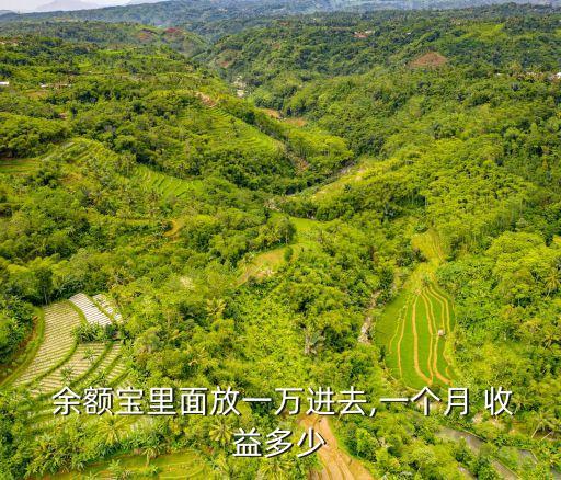  余額寶里面放一萬進(jìn)去,一個(gè)月 收益多少