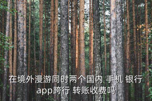 在境外漫游同時兩個國內 手機 銀行app跨行 轉賬收費嗎