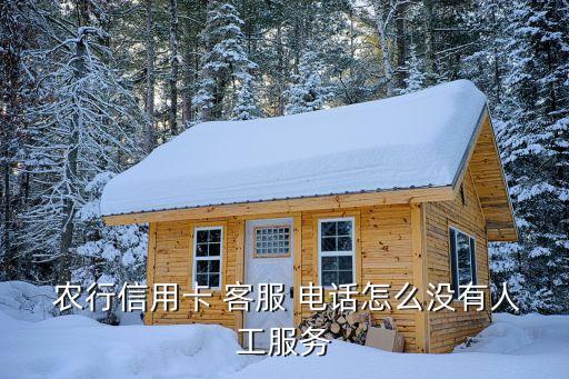 南昌農(nóng)行銀行電話客服電話是多少,農(nóng)行銀行客服電話955