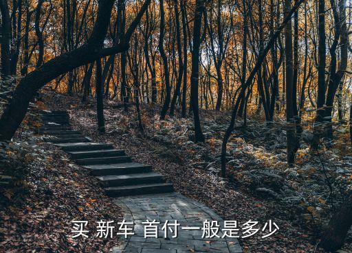 新車貸款最少首付多少