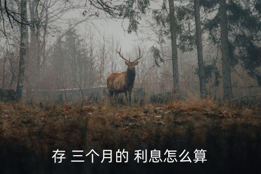 銀行存三個月利息多少合適,3000元存銀行三個月利息多少