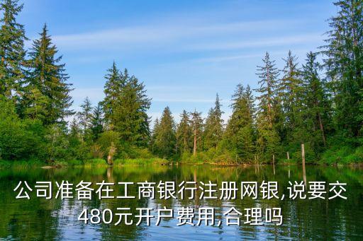 工行開網(wǎng)銀多少錢,工行網(wǎng)銀打不開怎么辦