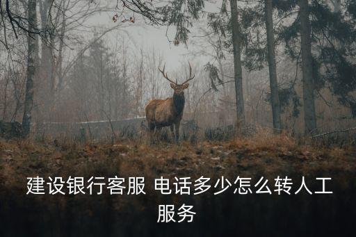  建設(shè)銀行客服 電話多少怎么轉(zhuǎn)人工服務(wù)