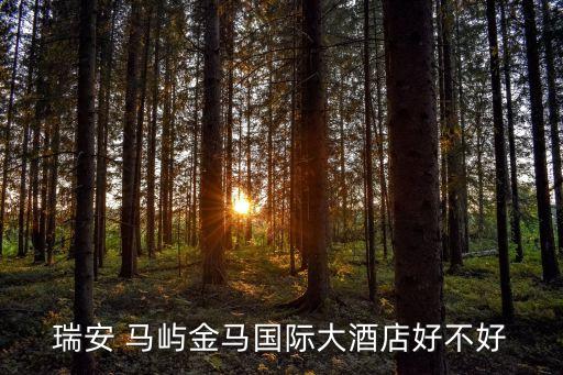 瑞安 馬嶼金馬國(guó)際大酒店好不好