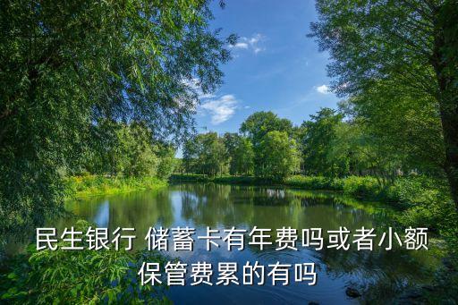  民生銀行 儲(chǔ)蓄卡有年費(fèi)嗎或者小額保管費(fèi)累的有嗎