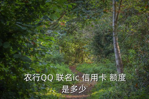  農(nóng)行QQ 聯(lián)名ic 信用卡 額度是多少