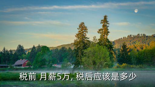 稅前月薪6.5萬稅后多少,月薪過萬指的是稅前還是稅后