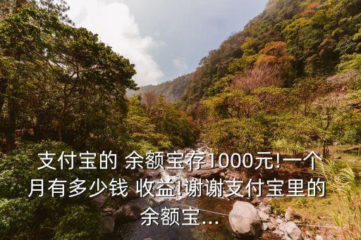 支付寶的 余額寶存1000元!一個月有多少錢 收益!謝謝支付寶里的 余額寶...
