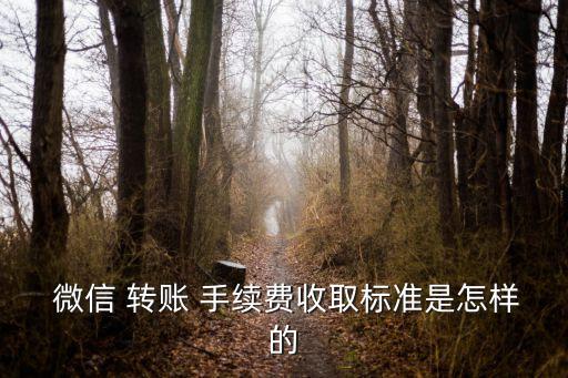  微信 轉(zhuǎn)賬 手續(xù)費(fèi)收取標(biāo)準(zhǔn)是怎樣的