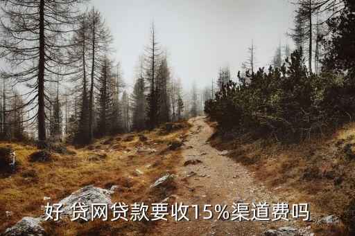 好貸網(wǎng)一般能貸多少