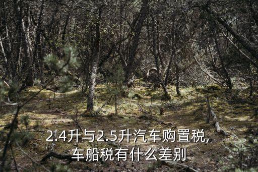  2.4升與2.5升汽車購置稅, 車船稅有什么差別