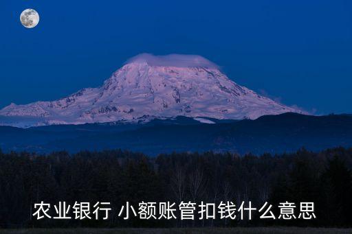 農業(yè)銀行 小額賬管扣錢什么意思